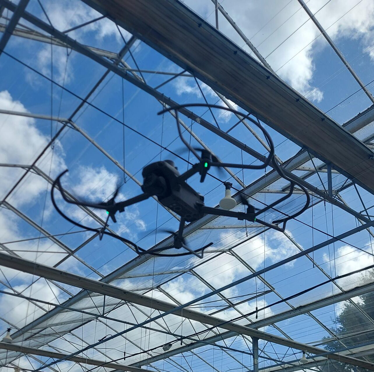 Precision Pollination for Strawberries with Drones